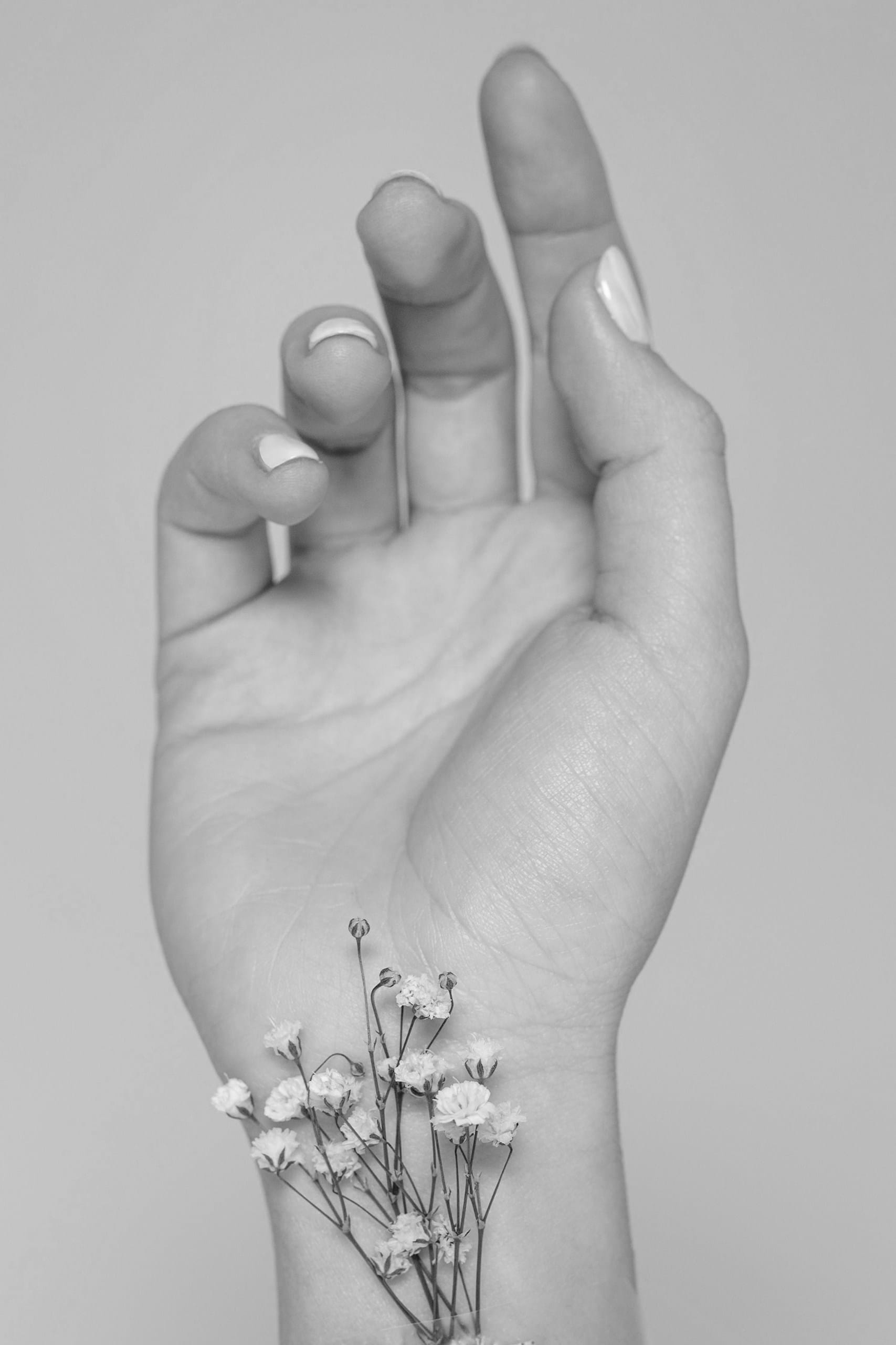 Chirurgia mainii 1 1